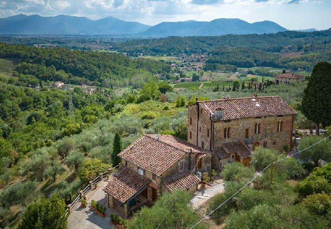 Apartment in Lucca - BIFORA Apartment in Lucca - BIFORA