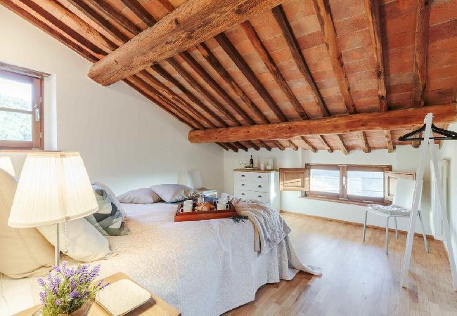 Apartment in Lucca - BIFORA Apartment in Lucca - BIFORA