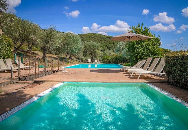 Apartment in Lucca - BIFORA Apartment in Lucca - BIFORA