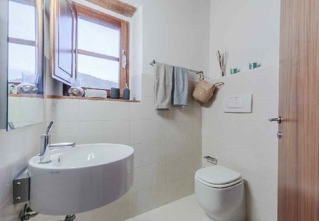 Apartment in Lucca - BIFORA Apartment in Lucca - BIFORA