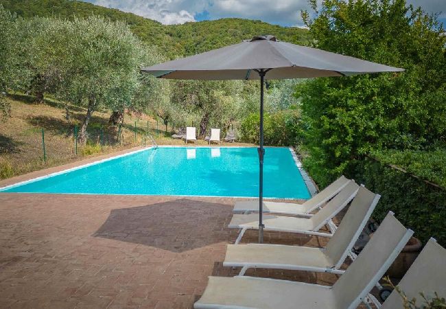 Apartment in Lucca - BIFORA Apartment in Lucca - BIFORA