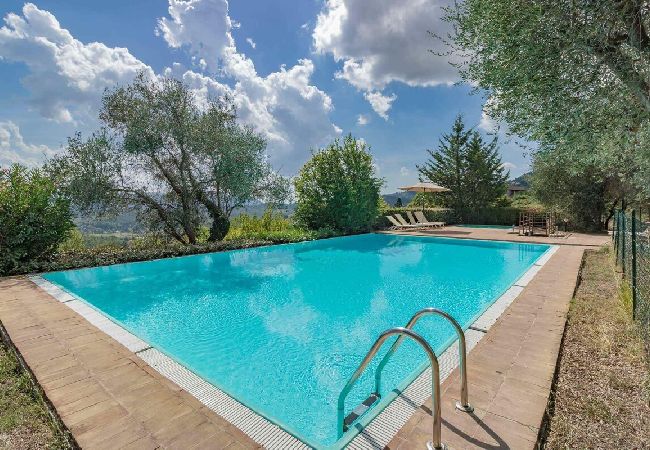 Apartment in Lucca - BIFORA Apartment in Lucca - BIFORA