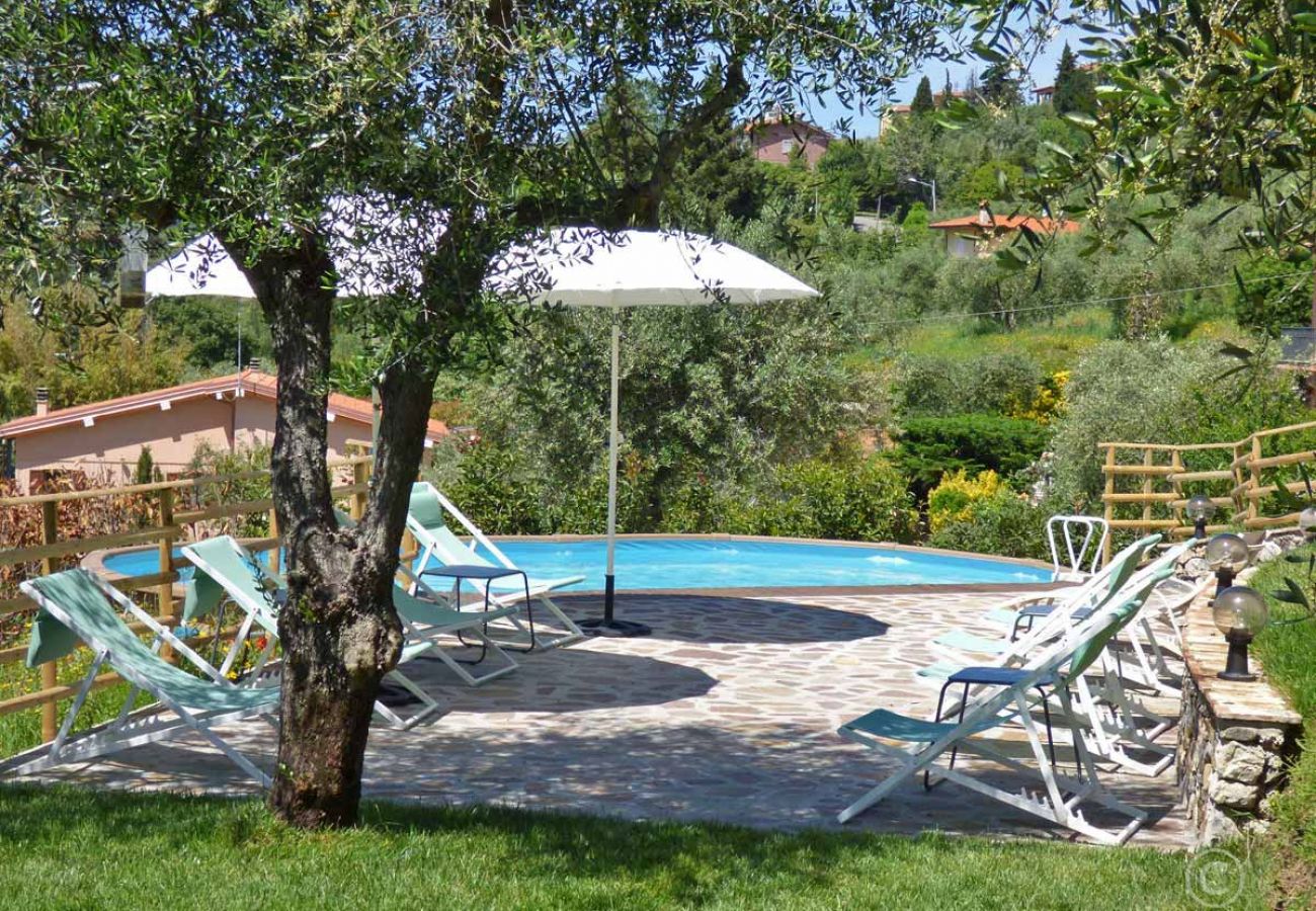 House in Massarosa - BORGHINO 1CE