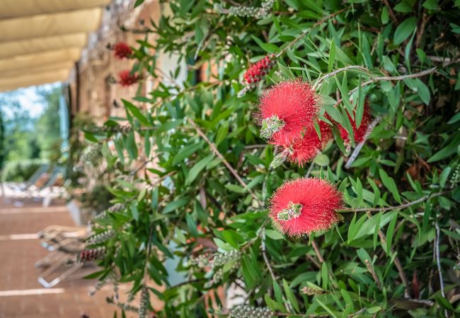 Villa in Segromigno in Monte - PODERE BORDO Villa in Segromigno in Monte - PODERE BORDO