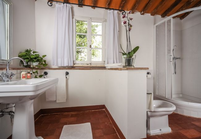 Villa in Massarosa - VILORIEN Villa in Massarosa - VILORIEN