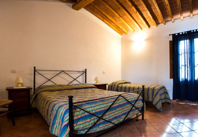 Apartment in Castelnuovo Berardenga - PINO 035