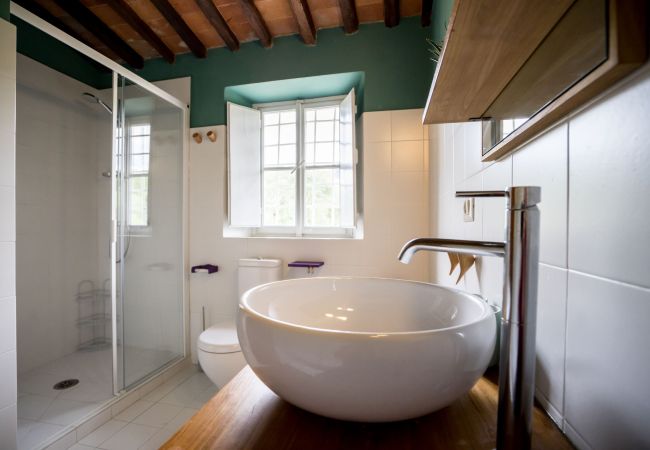 Farm stay in Segromigno in Monte - BORDO 2 Farm stay in Segromigno in Monte - BORDO 2
